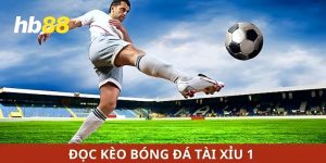 Kèo bóng đá tài xỉu 1 đọc như thế nào?