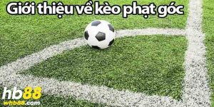 cách đọc kèo phạt góc