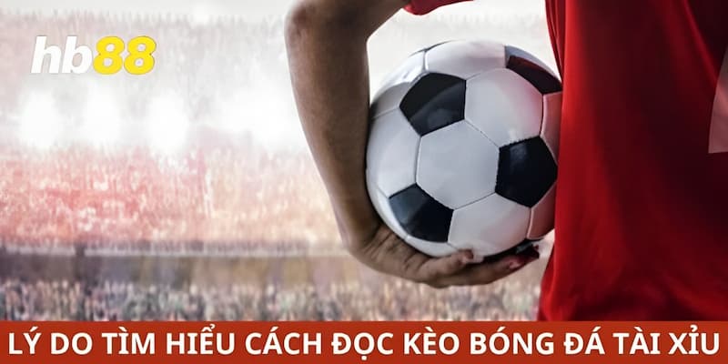 Lý do nên tìm hiểu về cách đọc kèo bóng đá tài xỉu