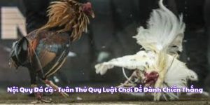 nội quy đá gà