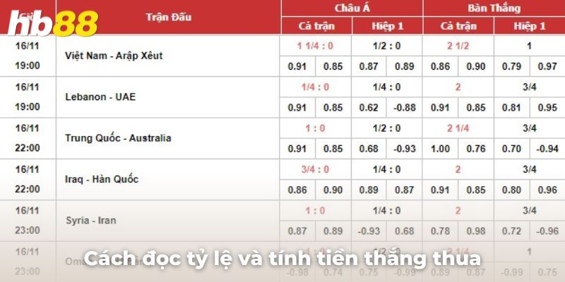 Cách đọc tỷ lệ và tính tiền thắng thua cho một số kèo châu Á phổ biến